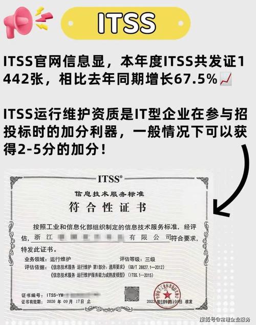 ITSS咨询全解析 信息技术服务标准认定、认证服务商与咨询公司选择指南